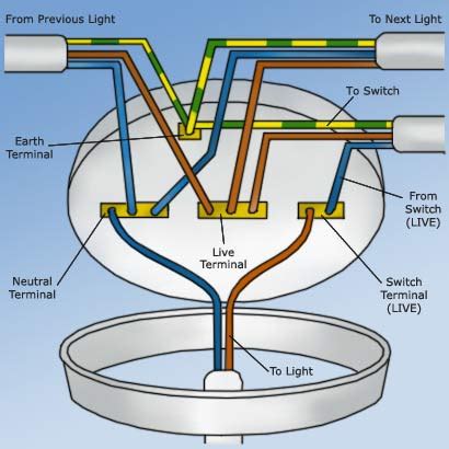 wiring a ceiling rose diagram